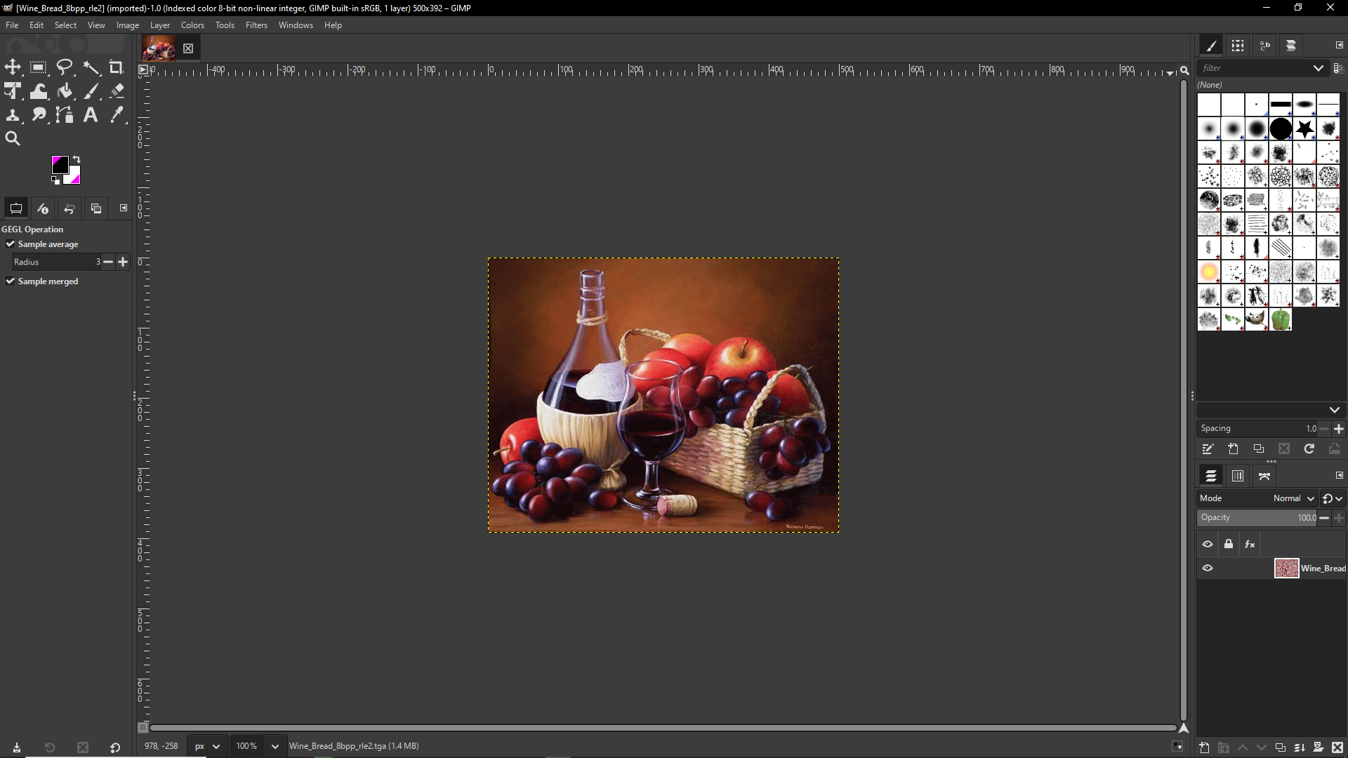 8bit_rle_working_gimp.png